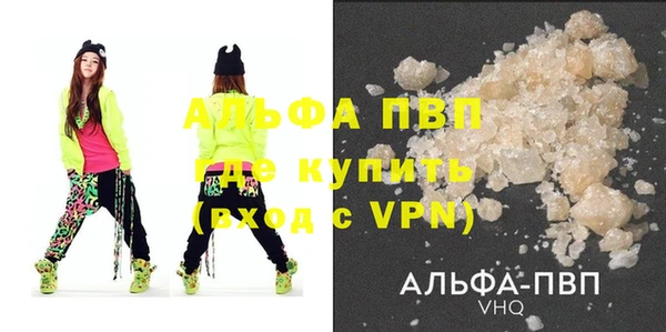 прущие грибы Осинники